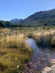 IMG_8303