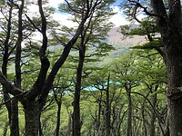 IMG_8340