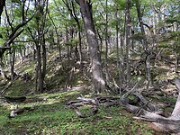 IMG_8324