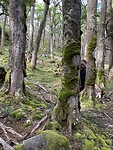 IMG_8327