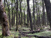 IMG_8329