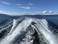 Catamaran op snelheid