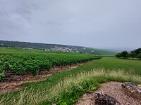 20220622_132812