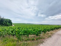 20220622_095541