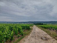 20220622_094722