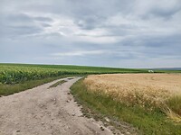 20220622_093810