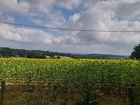 20220723_104154