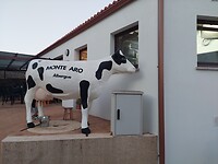 20220920_081107