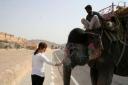Olifant