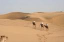 jaisalmer 061-400