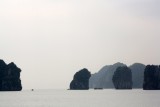 IMG_1083