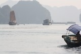IMG_1252