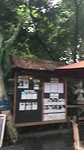 The Yoga Barn