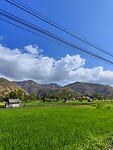 2DF47E08-C750-4A1C-90D6-3361EBB1C72D