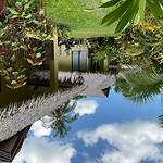 IMG_0027