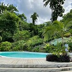 IMG_0029