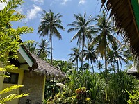 IMG_0017