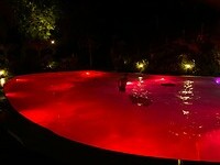 IMG_0038