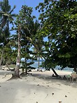 IMG_0134