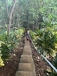 IMG_0214