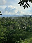 IMG_0188