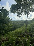 IMG_0187