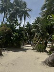 IMG_0181