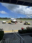 IMG_0221