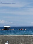 IMG_0314