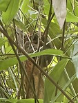 IMG_0328