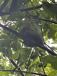 IMG_0329