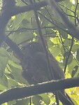 IMG_0332