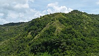 dji_fly_20240825_125304_0026_1724656377040_photo