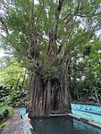 IMG_0440