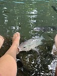 IMG_0435
