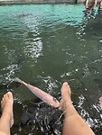 IMG_0434
