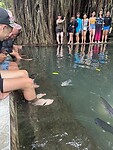 IMG_0427
