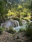 IMG_0411