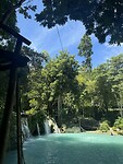 IMG_0410