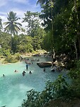IMG_0385