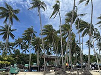 IMG_0444
