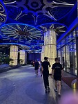 IMG_0468