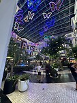 IMG_0472