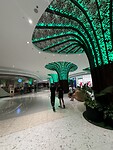 IMG_0474