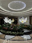 IMG_0475