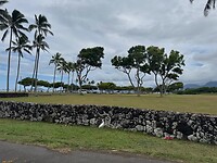 IMG_1003