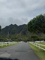 IMG_1006