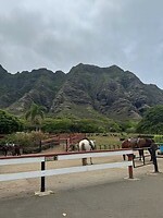 IMG_1016