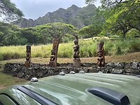 IMG_1029