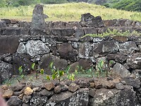 IMG_1037
